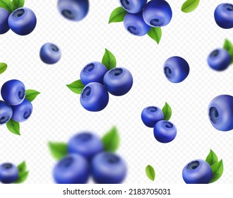 Realistic blueberries on transparent background. Ripe blueberry falling in motion. Vector 3d