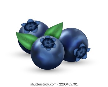 Realistic blueberry 3d. Fresh ripe blueberry with green leafs isolated on white background. Bilberry icons. Design element for sweets, jam advertising. Vector illustration
