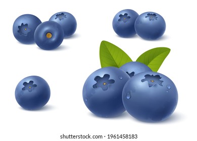 Realistic blueberry in 3d style. Fresh ripe blueberry with green leafs isolated on white background. Bilberry with water drops. Design element for sweets, jam advertising. Vector illustration.