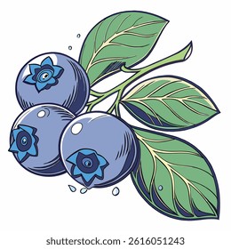 Realistic Blueberry with Detailed Texture, Shine, and Water Drops – Vector Illustration