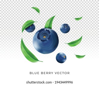 Realistic blueberry flying vector fully editable with leaves readymade composition of poster design 