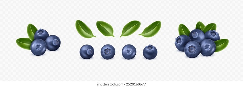 Realistic blueberry set with green leaves on transparent background. Various berry compositions for design mockup. 3D realistic vector illustration.