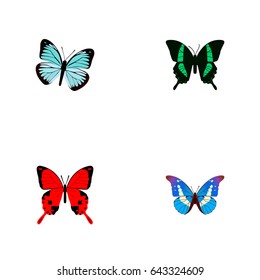 Realistic Bluewing, Beauty Fly, Sangaris And Other Vector Elements. Set Of Butterfly Realistic Symbols Also Includes Julia, Red, Sky Objects.