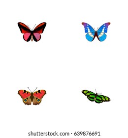 Realistic Bluewing, Callicore Cynosura, American Painted Lady And Other Vector Elements. 