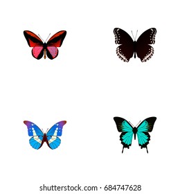 Realistic Bluewing, Callicore Cynosura, Spicebush And Other Vector Elements. Set Of Beauty Realistic Symbols Also Includes Hypolimnas, Cynosura, Hairstreak Objects.