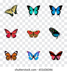 Realistic Bluewing, Checkerspot, Callicore Cynosura And Other Vector Elements. Set Of Moth Realistic Symbols Also Includes Morpho, Bluewing, Blue Objects.