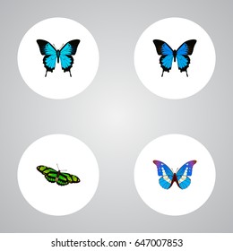 Realistic Bluewing, Green Peacock, Common Blue And Other Vector Elements. Set Of Beauty Realistic Symbols Also Includes Green, Butterfly, Morpho Objects.