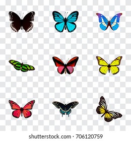 Realistic Bluewing, Green Peacock, Sky Animal And Other Vector Elements. Set Of Beauty Realistic Symbols Also Includes Blue, Morpho, Green Objects.