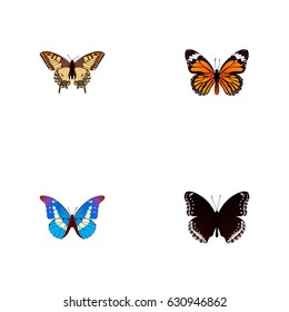 Realistic Bluewing, Spicebush, Monarch And Other Vector Elements. Set Of Butterfly Realistic Symbols Also Includes Morpho, Tiger, Bluewing Objects.