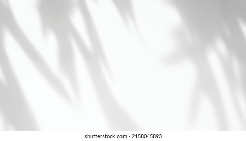 Realistic blurred natural light leaves, palm and window shadow overlay on wall paper or frames texture, abstract background, summer, spring, autumn for product presentation podium and mockup seasonal