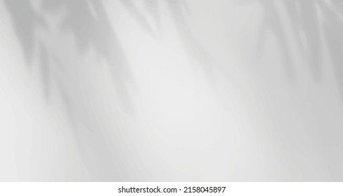 Realistic blurred natural light leaves, palm and window shadow overlay on wall paper or frames texture, abstract background, summer, spring, autumn for product presentation podium and mockup seasonal