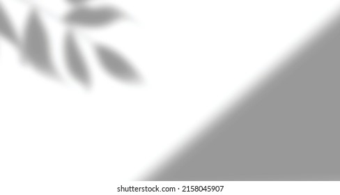 Realistic blurred natural light leaves, palm and window shadow overlay on wall paper or frames texture, abstract background, summer, spring, autumn for product presentation podium and mockup seasonal