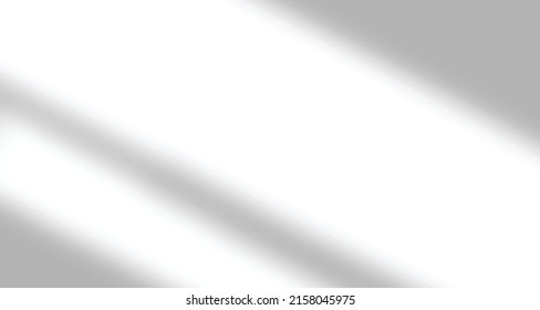 Realistic blurred natural light leaves, palm and window shadow overlay on wall paper or frames texture, abstract background, summer, spring, autumn for product presentation podium and mockup seasonal