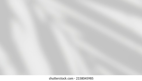 Realistic blurred natural light leaves, palm and window shadow overlay on wall paper or frames texture, abstract background, summer, spring, autumn for product presentation podium and mockup seasonal