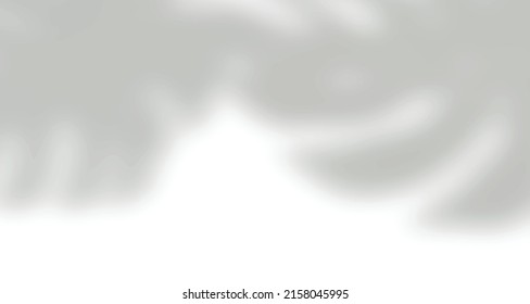 Realistic blurred natural light leaves, palm and window shadow overlay on wall paper or frames texture, abstract background, summer, spring, autumn for product presentation podium and mockup seasonal