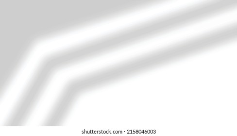 Realistic blurred natural light leaves, palm and window shadow overlay on wall paper or frames texture, abstract background, summer, spring, autumn for product presentation podium and mockup seasonal