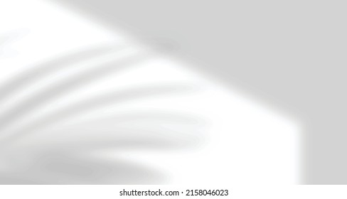 Realistic blurred natural light leaves, palm and window shadow overlay on wall paper or frames texture, abstract background, summer, spring, autumn for product presentation podium and mockup seasonal