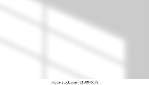 Realistic blurred natural light leaves, palm and window shadow overlay on wall paper or frames texture, abstract background, summer, spring, autumn for product presentation podium and mockup seasonal