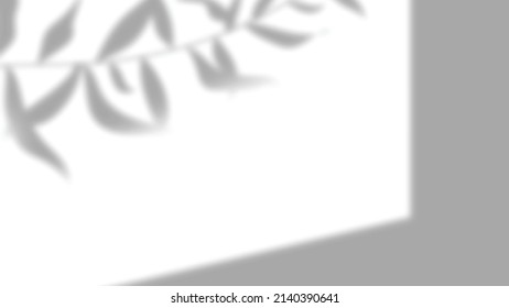 Fenêtres à la lumière naturelle flou réaliste, superposition de l'ombre sur papier peint ou texture de cadres, arrière-plan abstrait, été, printemps, automne pour la présentation du produit podium et maquette saisonnière