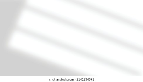 Realistic blurred natural light windows, palm leaves shadow overlay on wall paper or frames texture, abstract background, summer, spring, autumn for product presentation podium and mockup seasonal