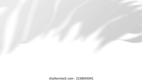 Realistic blurred natural light windows, palm and leaves shadow overlay on wall paper or frames texture, abstract background, summer, spring, autumn for product presentation podium and mockup seasonal