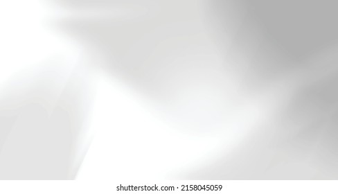 Realistic blurred natural light windows, palm and leaves shadow overlay on wall paper or frames texture, abstract background, summer, spring, autumn for product presentation podium and mockup seasonal