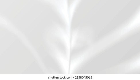 Realistic blurred natural light windows, palm and leaves shadow overlay on wall paper or frames texture, abstract background, summer, spring, autumn for product presentation podium and mockup seasonal