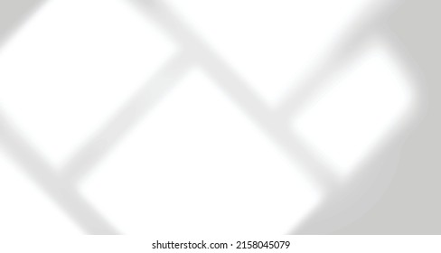 Realistic blurred natural light windows, palm and leaves shadow overlay on wall paper or frames texture, abstract background, summer, spring, autumn for product presentation podium and mockup seasonal