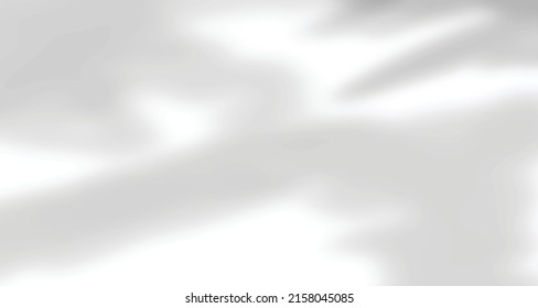 Ventanas de luz natural borrosas realistas, palma y hojas sombra sobre papel de pared o textura de marcos, fondo abstracto, verano, primavera, otoño para presentación de productos podio y burla estacional