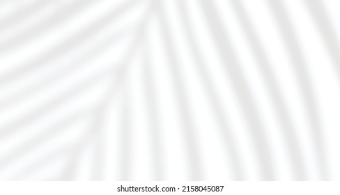 Realistic blurred natural light windows, palm and leaves shadow overlay on wall paper or frames texture, abstract background, summer, spring, autumn for product presentation podium and mockup seasonal
