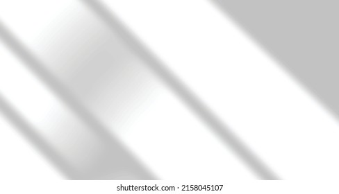 Realistic blurred natural light windows, palm and leaves shadow overlay on wall paper or frames texture, abstract background, summer, spring, autumn for product presentation podium and mockup seasonal
