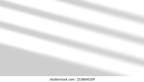 Realistic blurred natural light windows, palm and leaves shadow overlay on wall paper or frames texture, abstract background, summer, spring, autumn for product presentation podium and mockup seasonal