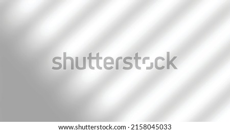 Realistic blurred natural light windows, palm and leaves shadow overlay on wall paper or frames texture, abstract background, summer, spring, autumn for product presentation podium and mockup seasonal