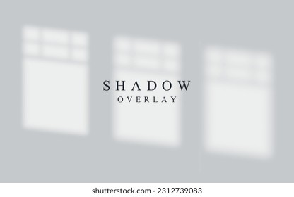 Realistic blurred window shadow overlay on blank wall. Vector transperent light of window template for design.