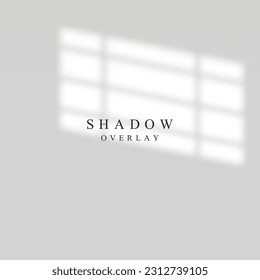 Realistic blurred window shadow overlay on blank wall. Vector transperent light of window template for design.