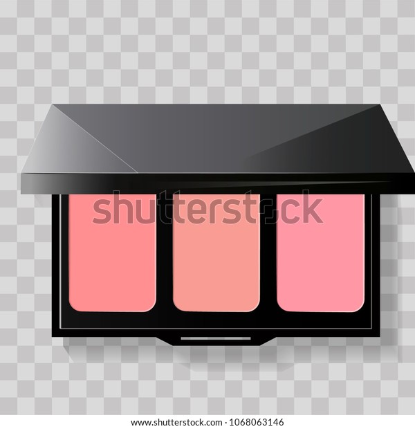Realistic Blush Kit Above Isolated Vector Stock Vector (Royalty Free