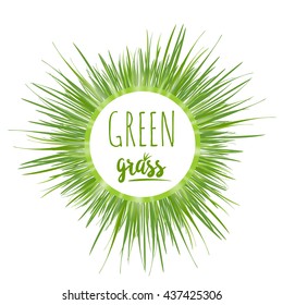 Realistic border green grass lawn logo isolated on white. Floral eco lawn nature background. Organic food, healthy logo. Web vector illustration. Eco color lawn grass.