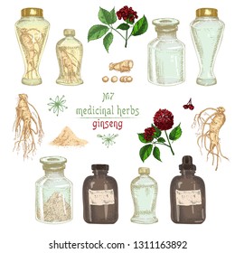 Realistic Botanical colorful sketch of ginseng root, flowers, berries, bottle, mortar and pestle isolated on white background, floral herbs collection Medicine plant Vintage rustic vector illustration
