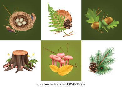 Realistic botanical design concept with square compositions of mushrooms cones and leaves with eggs in nest vector illustration