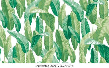 Realistic botanical illustration on a white background. Seamless pattern with tropical leaves. Vector foliage background.