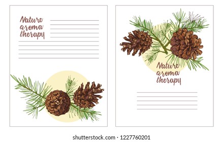 Realistic Botanical ink sketch of colorful fir tree branches with pine cone isolated on white background. Good idea for invitations, greeting postcards, label, sticker Vector illustrations