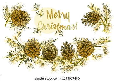 Realistic Botanical ink sketch of fir tree branches with pine cone in gold color on white background. Good idea for templates invitations, greeting cards. Vector illustrations