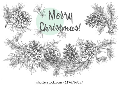 Realistic Botanical ink sketch of fir tree branches with pine cone isolated on white background. Good idea for invitations, greeting postcards, label, sticker Vector illustrations