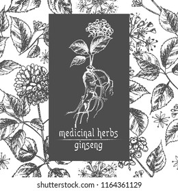 Realistic Botanical ink sketch of ginseng root, flowers and berries isolated on white background Floral herbs collection Chinese medicine plant Card design Vintage rustic vector illustration.