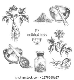 Realistic Botanical ink sketch of ginseng root, flowers, berries, bottle, mortar and pestle isolated on white background, floral herbs collection. Medicine plant. Vintage rustic vector illustration.