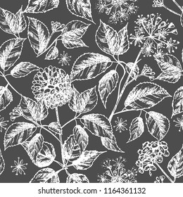 Realistic Botanical ink sketch seamless pattern with ginseng root, flowers, berries isolated on black, floral herbs collection. Traditional chinese medicine plant. Vintage rustic vector illustration.