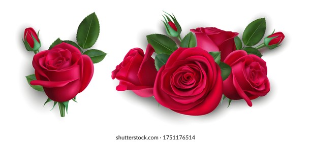 Realistic bouquet of roses. Isolated red rose with leaves. Wedding boutonniere, floral decorative element vector illustration