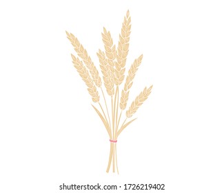 Realistic bouquet of wheat spikelets in isolate on a white background. Vector illustration.