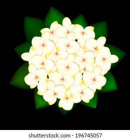 realistic bouquet of yellow orchids, vector illustration