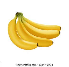 Realistic branch of bananas isolated, bright yellow sweet fruit, icon, vector illustration